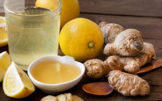 Как правильно готовить имбирь с лимоном и медом, рецепты для иммунитета