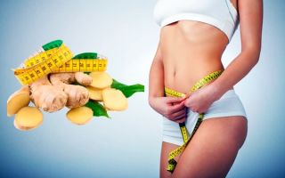 Эффективное похудение с имбирной диетой