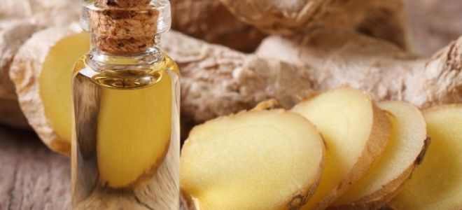 Полезные свойства и применение масла имбиря