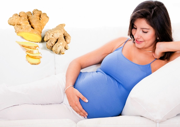 корень имбиря при беременности 